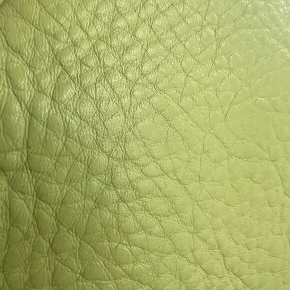 Like new!  Soft Lime Green MCM Hobo Shoulder Bag and MCM Dustbag - Picture 10 of 13